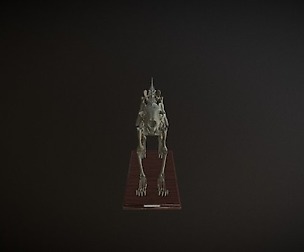Free Leopard skeleton and references pictures