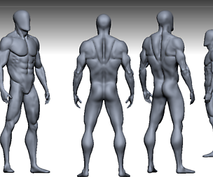 anatomy