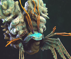 Highpoly Creature