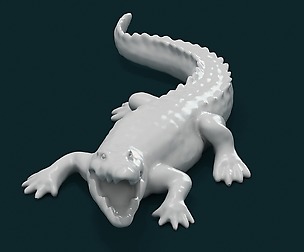 Alligator