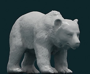 Bear