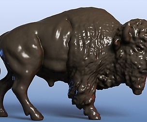 Bison