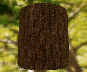 Tree Bark - Substance Designer