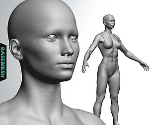 Muscular Female Basemesh