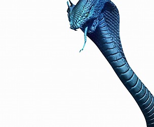 Magic Palace - Religion - Stone Snake 01