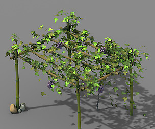 Climbed rattan - bamboo shed 01