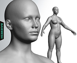 Overweight Female Basemesh