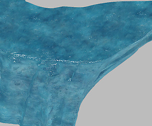 Tongtianhe - ice stone 06