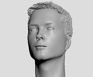 Head of Ukrainian man with hair