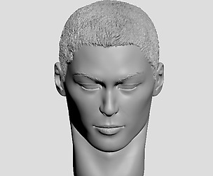 Head of Japanese man with hair