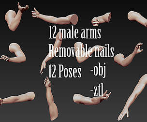 12 Male Arms