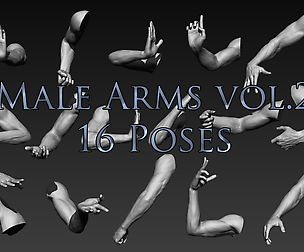 16 Male Arms
