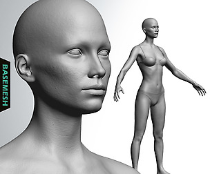 Skinny Female Basemesh