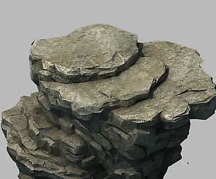 Wild - rock 1101