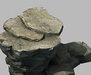 Wild - rock 1102