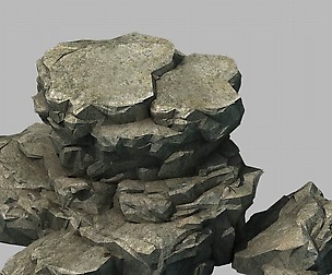 Wild - rock 1104
