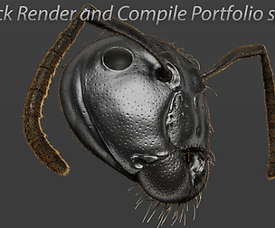 Quick Render and Compile Portfolio Shots