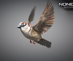Animated Sparrow