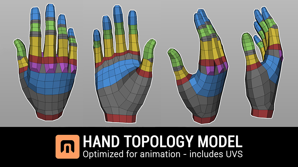 Hand Topology Model