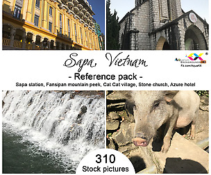 Sapa reference pack