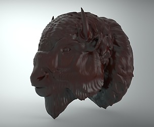 bufallo -6