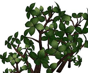 Grass Temple Village - special plant 02