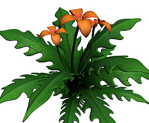 Grass Temple Village - special plant 03