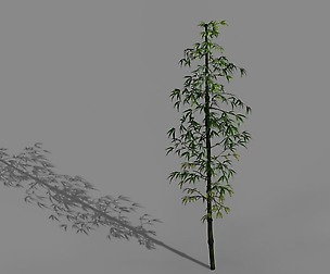 Dazhu Feng - black knot bamboo 01