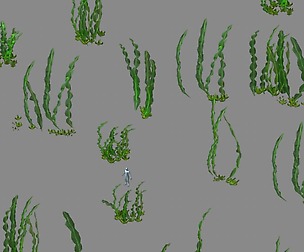 Seabed plant - Kelp 01