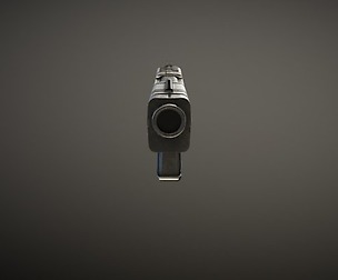 Gun