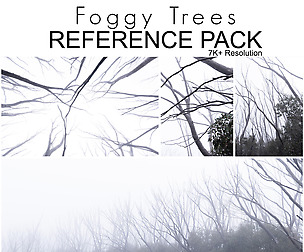 Ref Pack - Foggy Trees