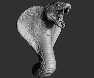 Cobra Head