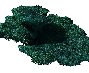 Seabed - Coral 74