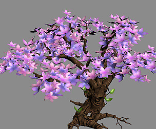 Acacia - tree 01