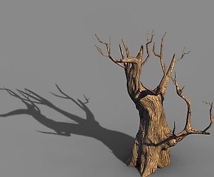 Acacia - Trunk 02