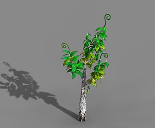 Acacia - trees 01