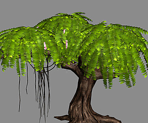 River Yangcheng - Huai Tree 01