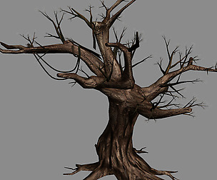 River Yangcheng - Ash tree trunk 01