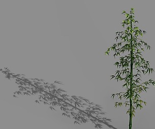 Heyang suburbs - bamboo 01