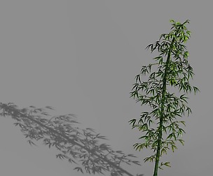 Heyang outskirts - bamboo 02