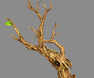 Fox Qishan - ruins film - dry tree 01