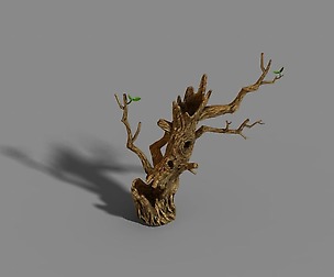 Fox Mountain - Crescent Spring - Tree 01