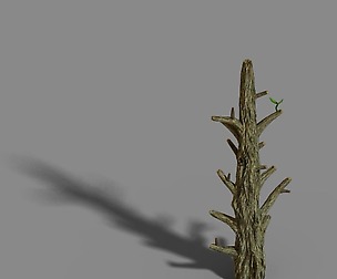 Fox Mountain - Crescent Spring - Tree 02