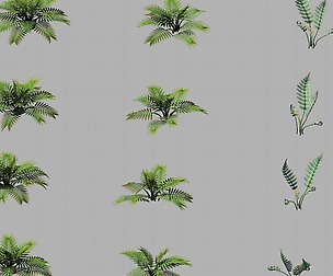 Huashan - plants - weeds
