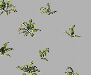 Huashan - plants - weeds 02