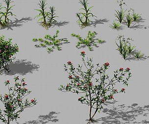 Huangguoshu Falls - small plants 01