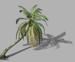 Huangguoshu Waterfall - Coconut Tree 03
