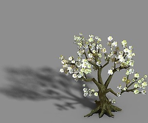 Capital City - White Tree 01