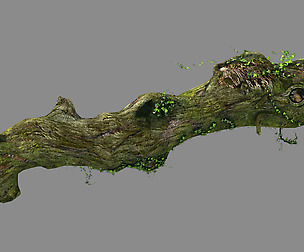 Elven mountains - green algae - dead trees 01