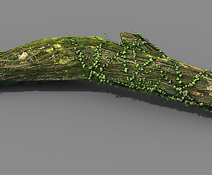 Elven mountains - green algae - dead trees 02